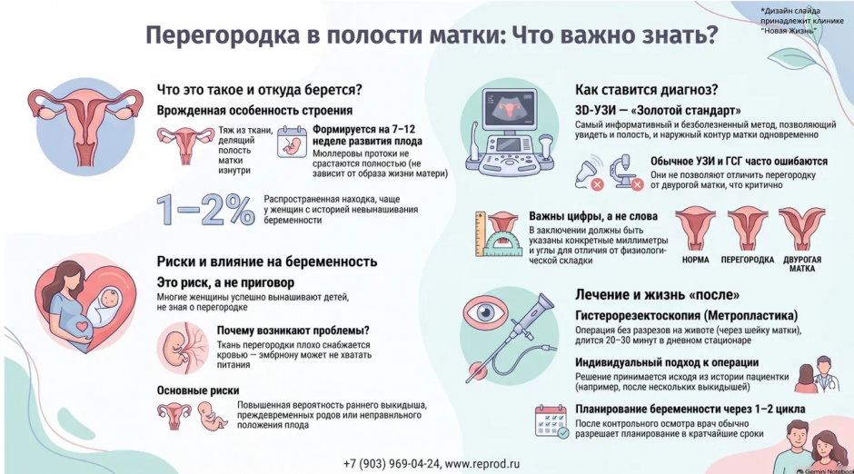 Перегородка в полости матки