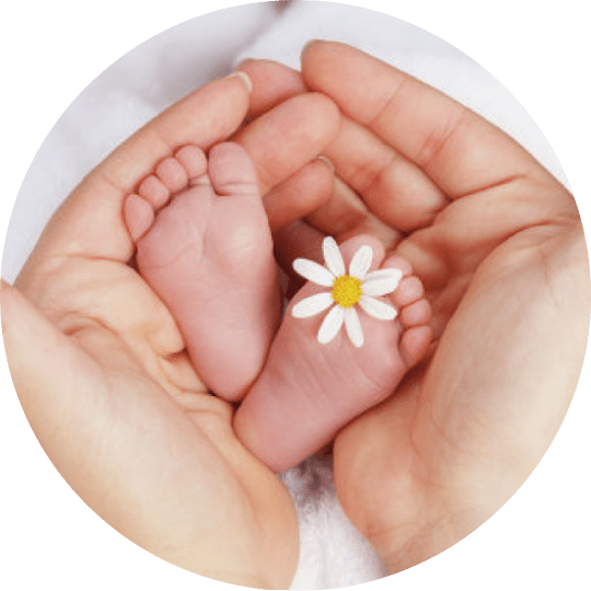 Донация эмбрионов