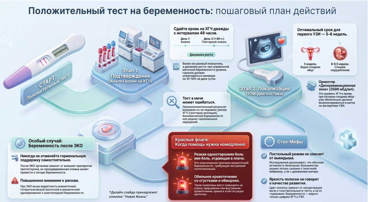Положительный тест на беременность - что дальше